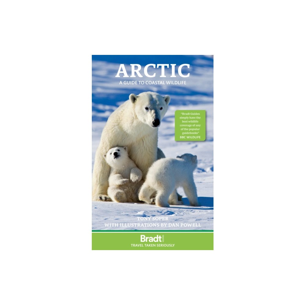 Bradt Travel Guides Arctic (häftad, eng)