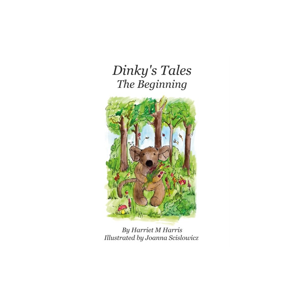 Troubador Publishing Dinky's Tales: The Beginning (inbunden, eng)