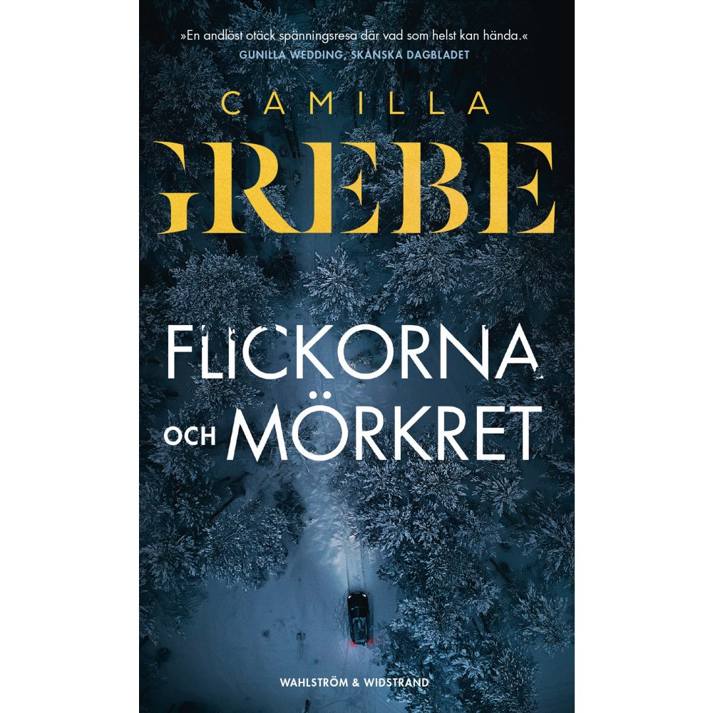 Camilla Grebe Flickorna och Mörkret (pocket)