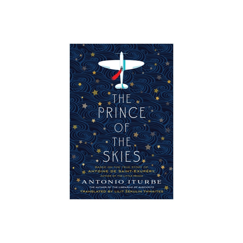 Feiwel & Friends Prince of the Skies (häftad, eng)