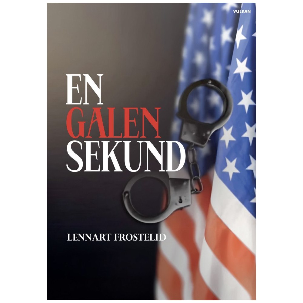 Lennart Frostelid En galen sekund (häftad)