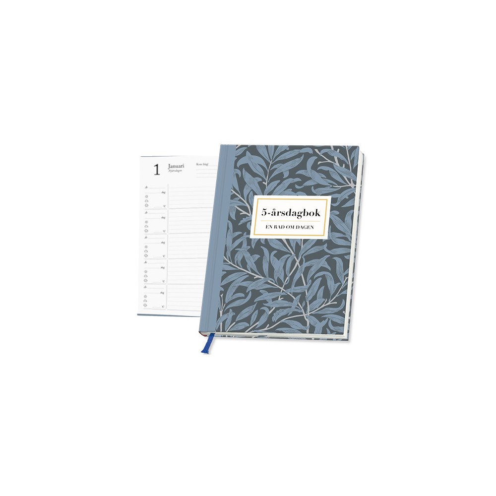 Livsenergi 5 års dagbok (inbunden)