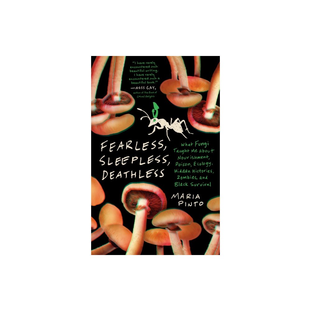The University of North Carolina Press Fearless, Sleepless, Deathless (häftad, eng)