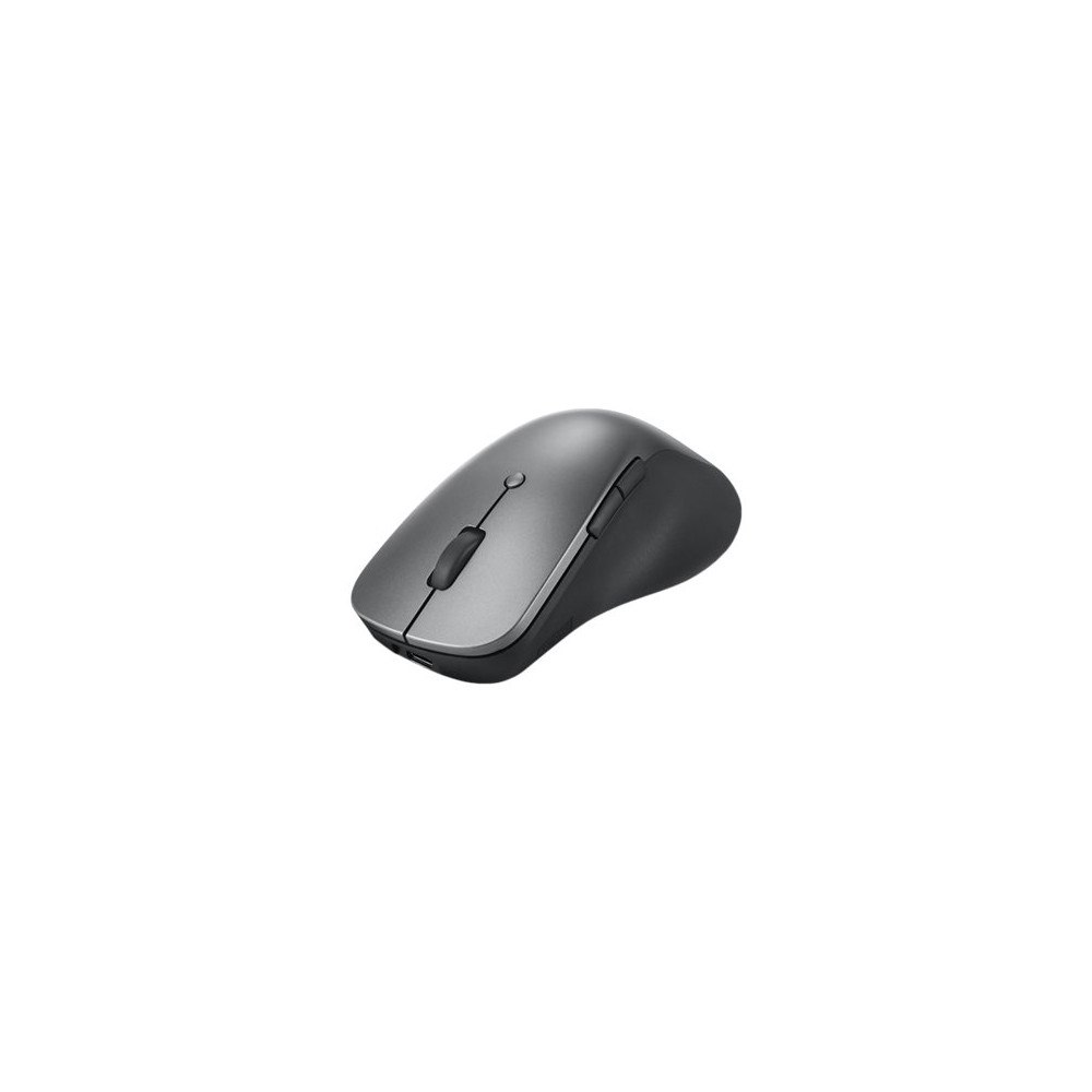 Lenovo Lenovo Professional - mus - Bluetooth 5.1 - åskmolnsgrå
