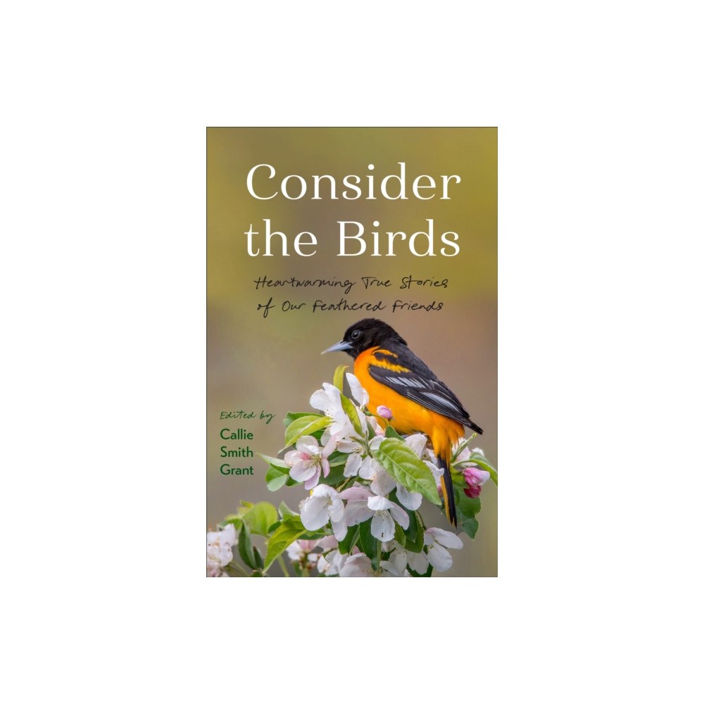 Baker publishing group Consider the Birds (häftad, eng)