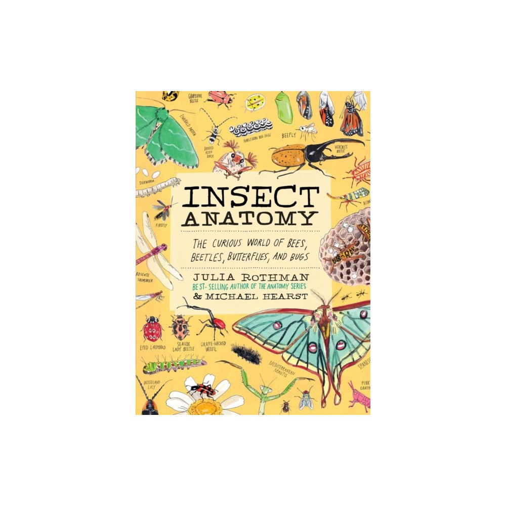 Workman Publishing Insect Anatomy (häftad, eng)
