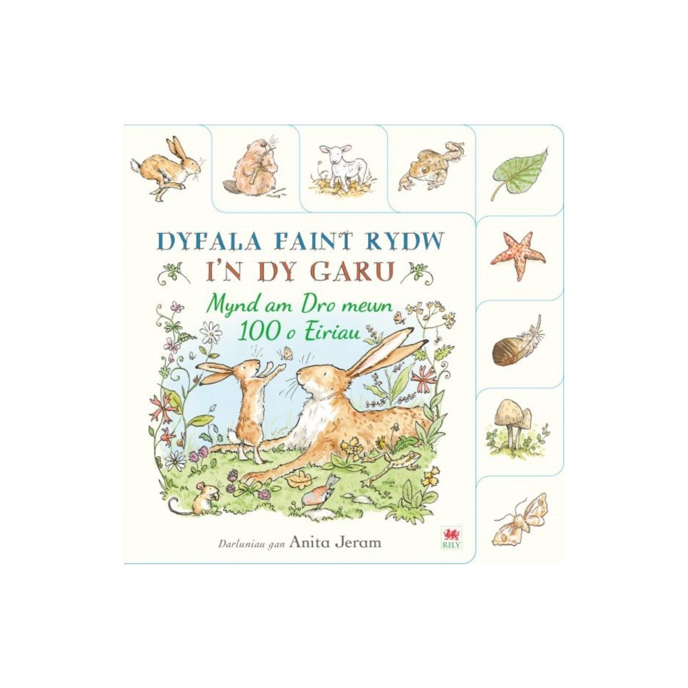 Rily Publications Ltd Dyfala Faint Rydw i'n dy Garu: Mynd am Dro mewn 100 o Eiriau (bok, board book, wel)