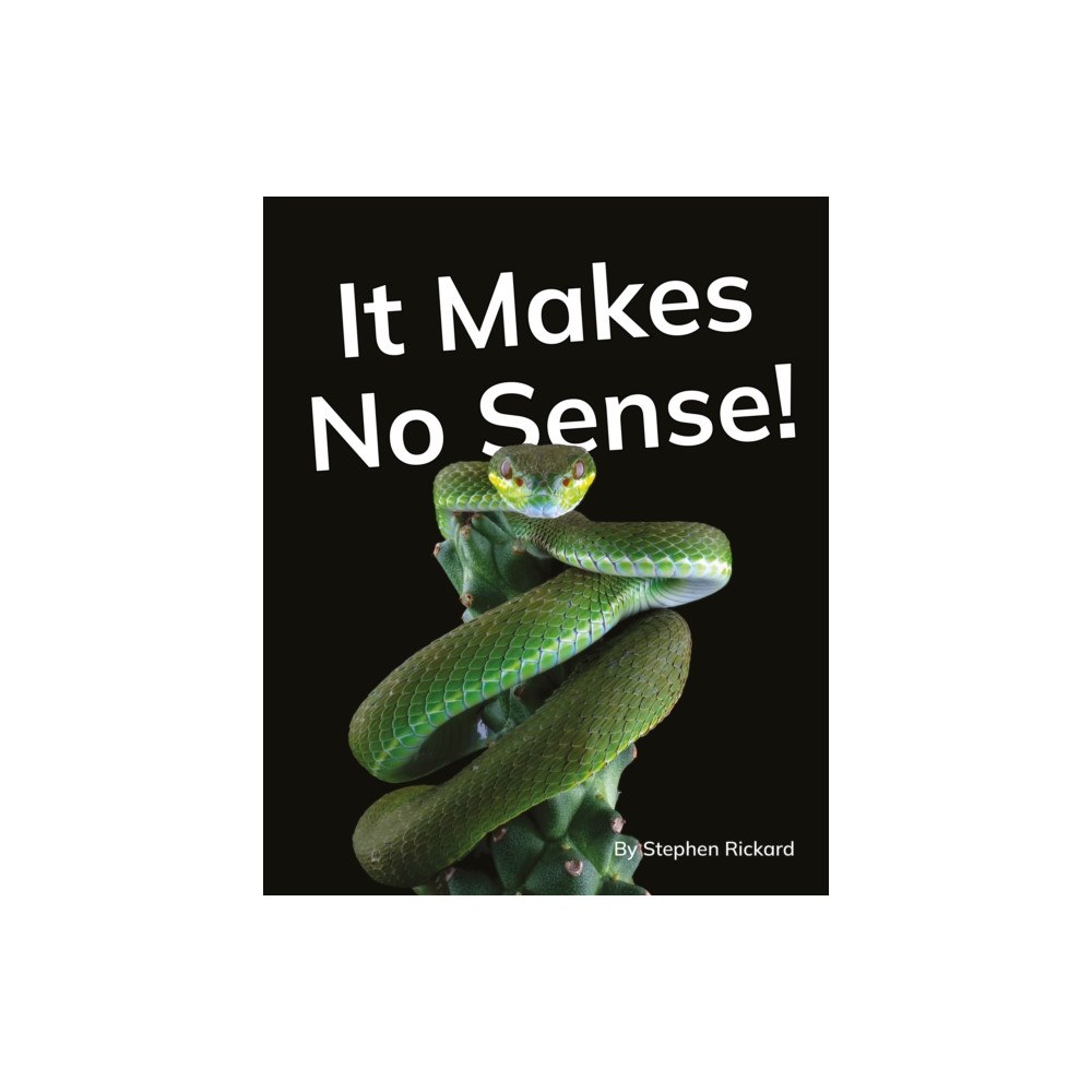 Ransom Publishing It Makes No Sense! (häftad, eng)