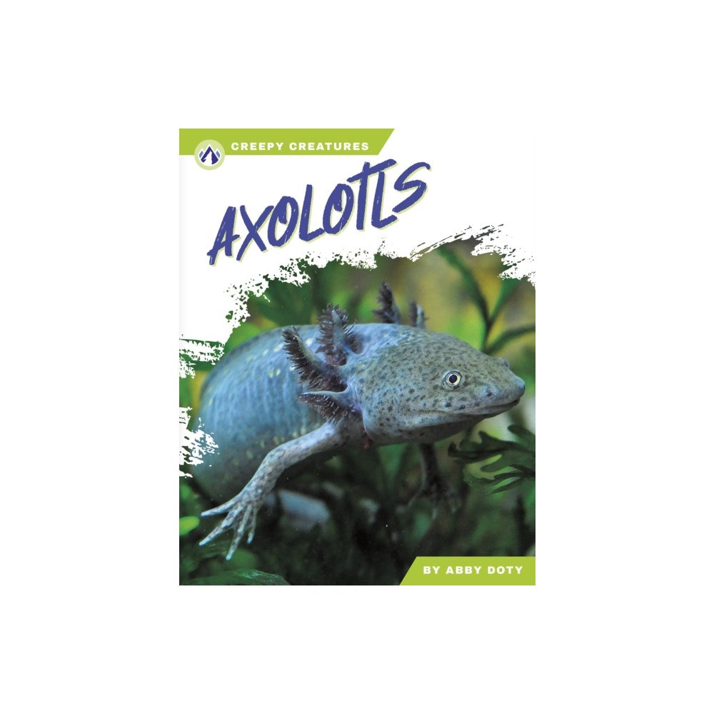 North Star Editions Axolotls (häftad, eng)