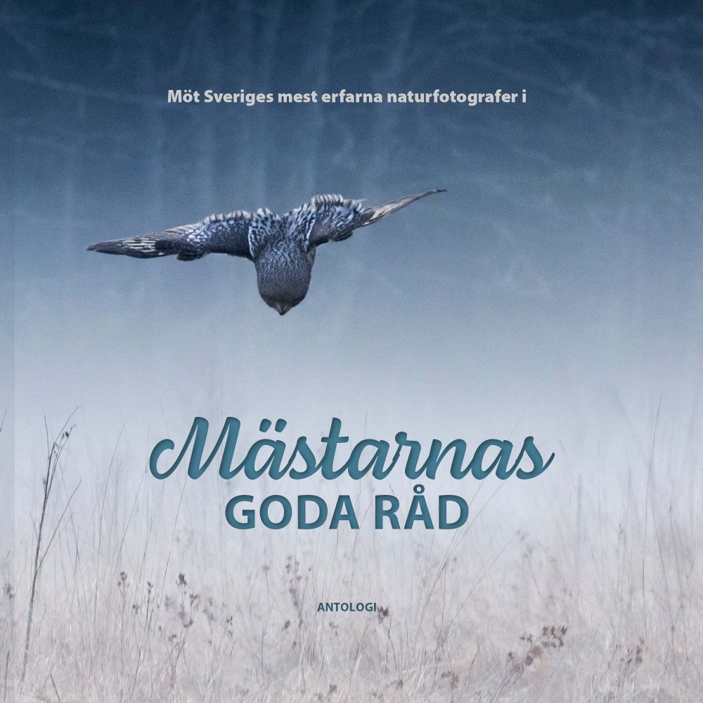 Camilla Noresson Mästarnas goda råd (inbunden) (Skadad)