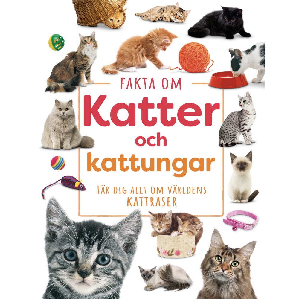Kritika Gupta Fakta om katter och kattungar : lär dig allt om världens kattraser (inbunden)