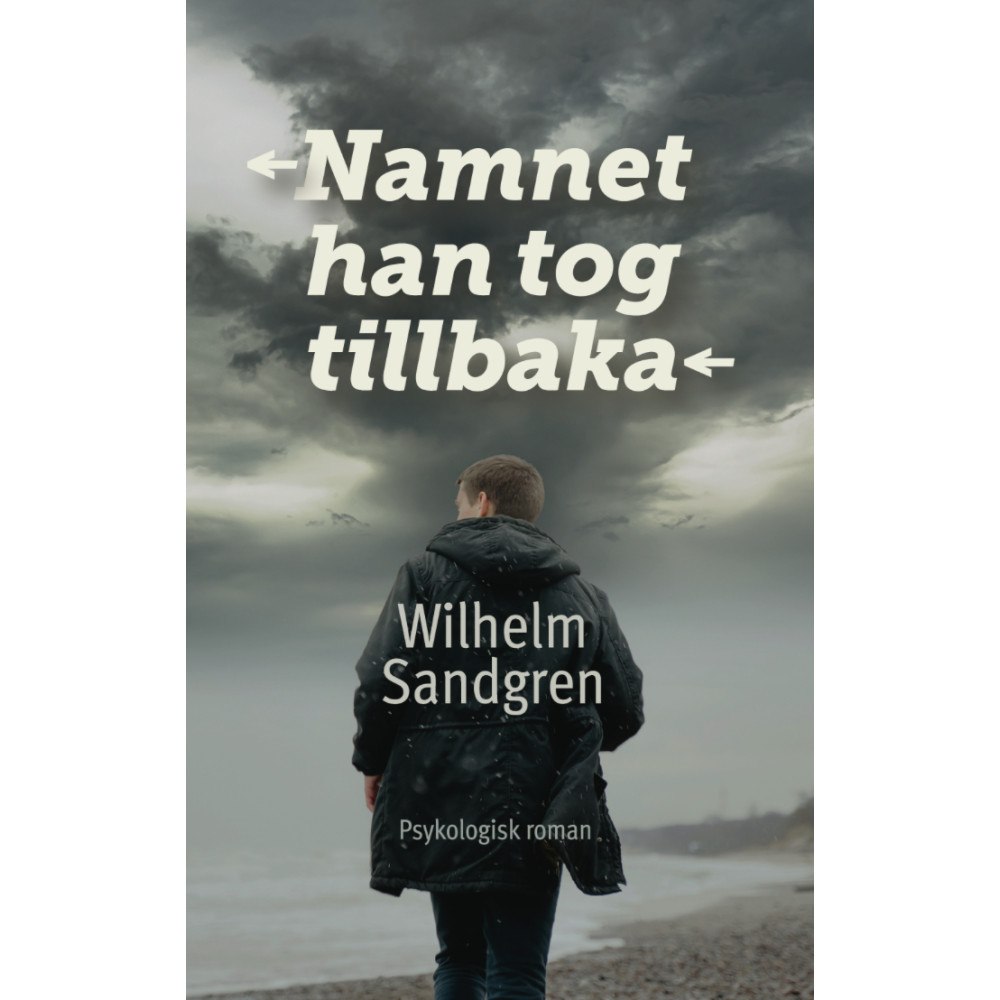 Wilhelm Sandgren Namnet han tog tillbaka (häftad)