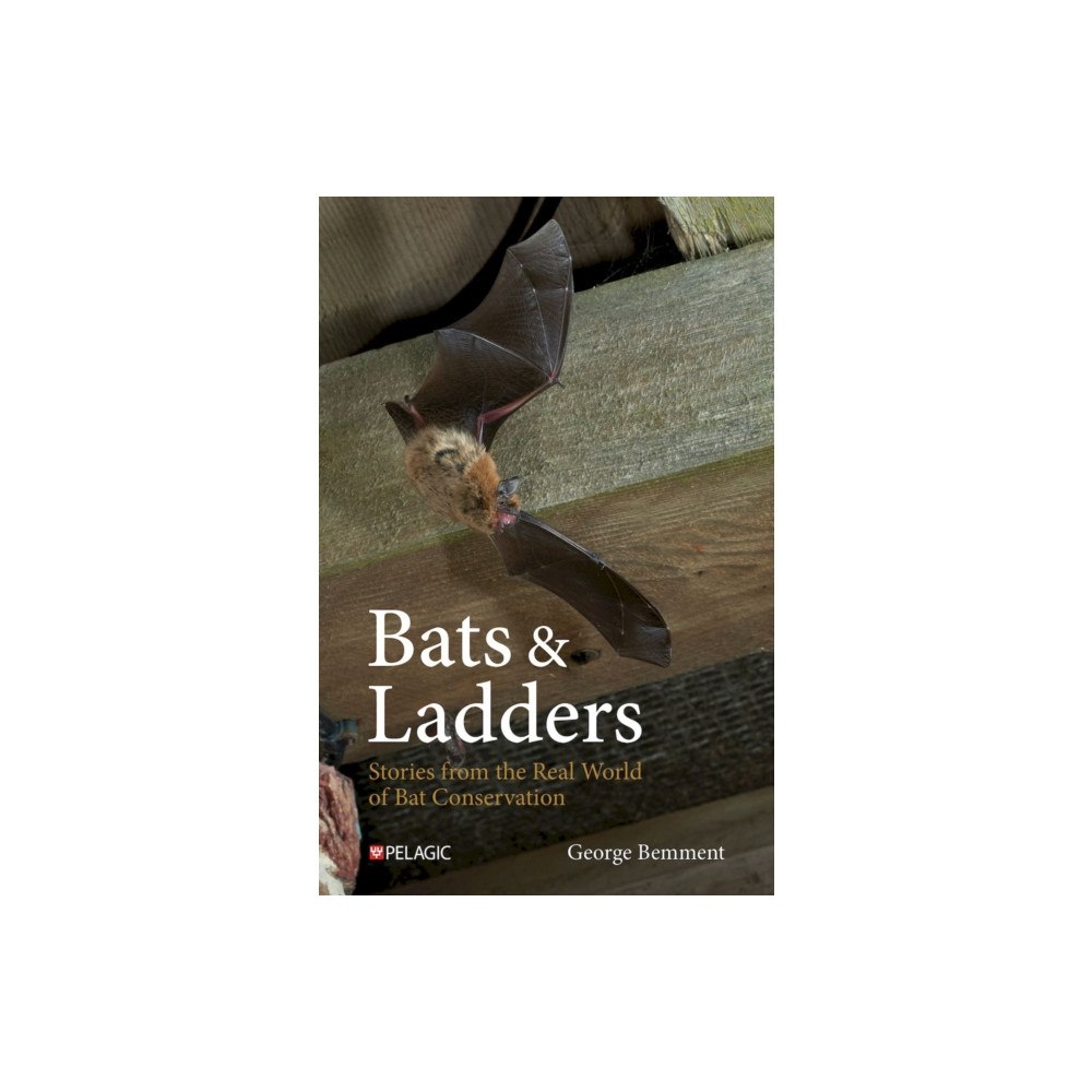 Pelagic Publishing Bats & Ladders (inbunden, eng)