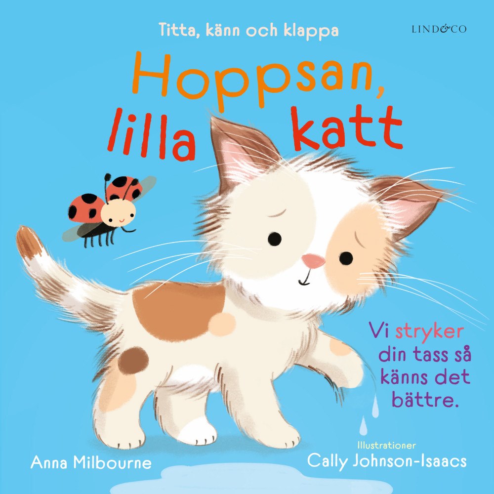 Anna Milbourne Hoppsan, lilla katt : titta, känn och klappa (bok, board book)