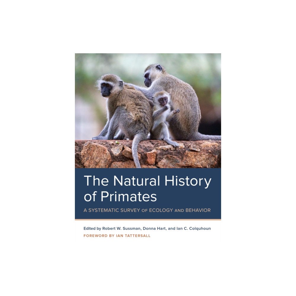 Bloomsbury Publishing PLC The Natural History of Primates (häftad, eng)