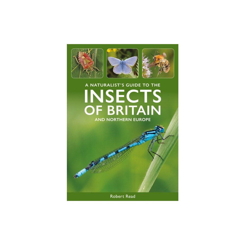 John Beaufoy Publishing Ltd A Naturalist's Guide to the Insects of Britain and Northern Europe (häftad, eng)