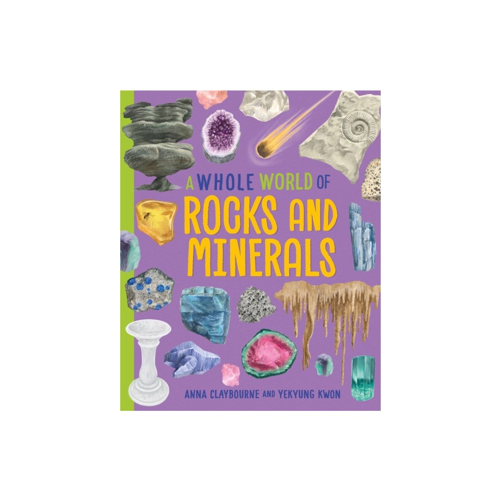 Hachette Children's Group A Whole World of...: Rocks and Minerals (häftad, eng)