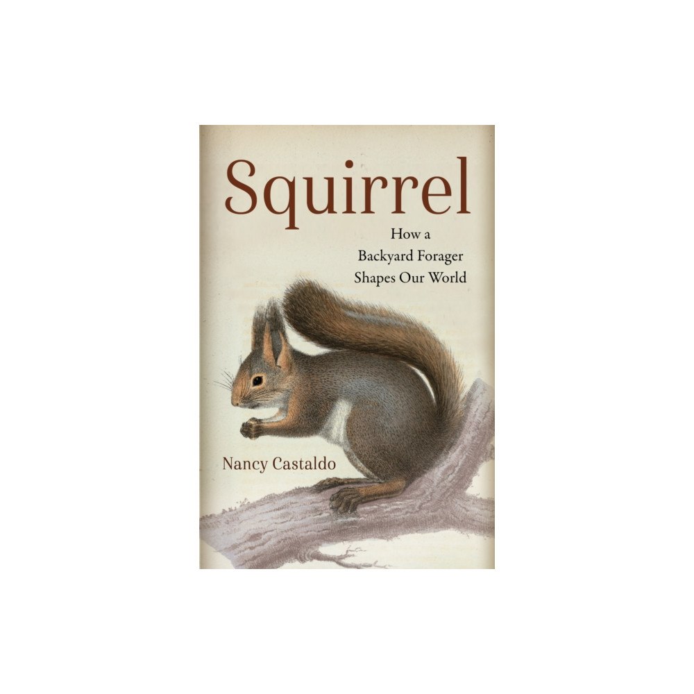 ISLAND PRESS Squirrel (inbunden, eng)