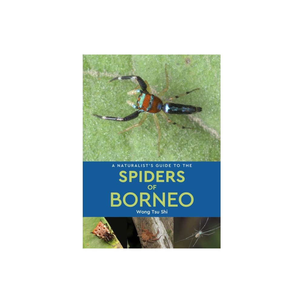 John Beaufoy Publishing Ltd A Naturalist's Guide to the Spiders of Borneo (häftad, eng)
