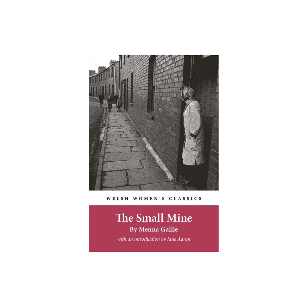 Honno Welsh Women's Press The Small Mine (häftad, eng)