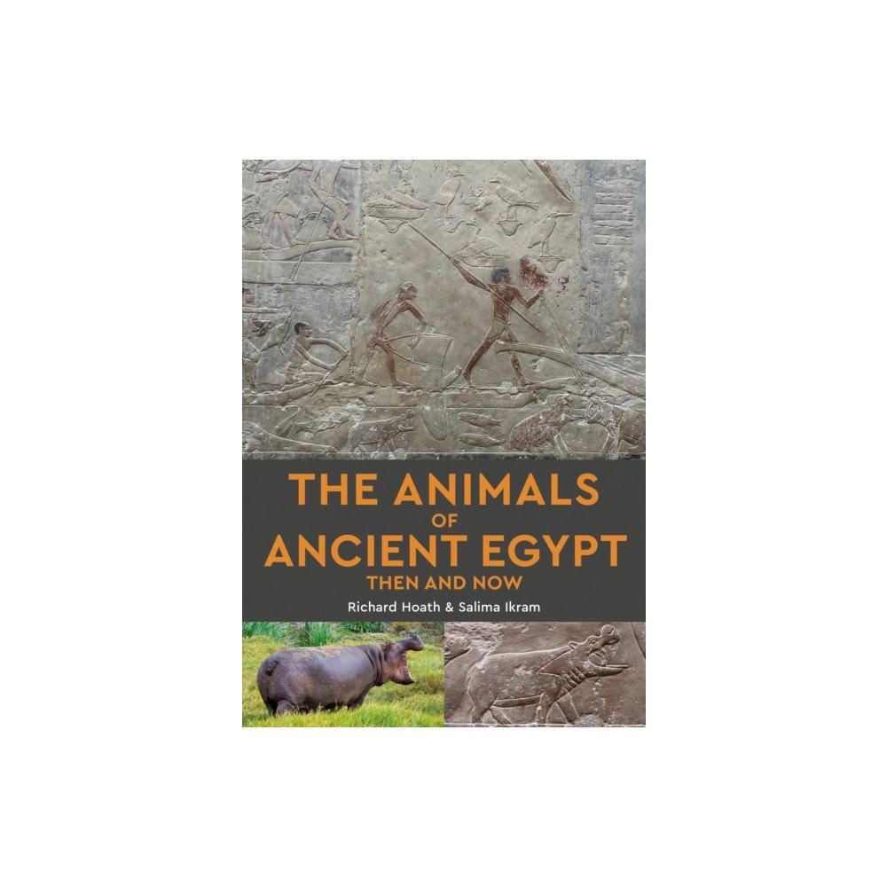 John Beaufoy Publishing Ltd The Animals of Ancient Egypt Then and Now (häftad, eng)