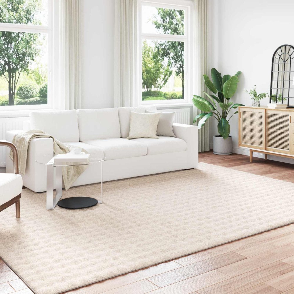 vidaXL Områdesmattor Rektangulär SIROLO Beige 340 x 240 cm Polyester