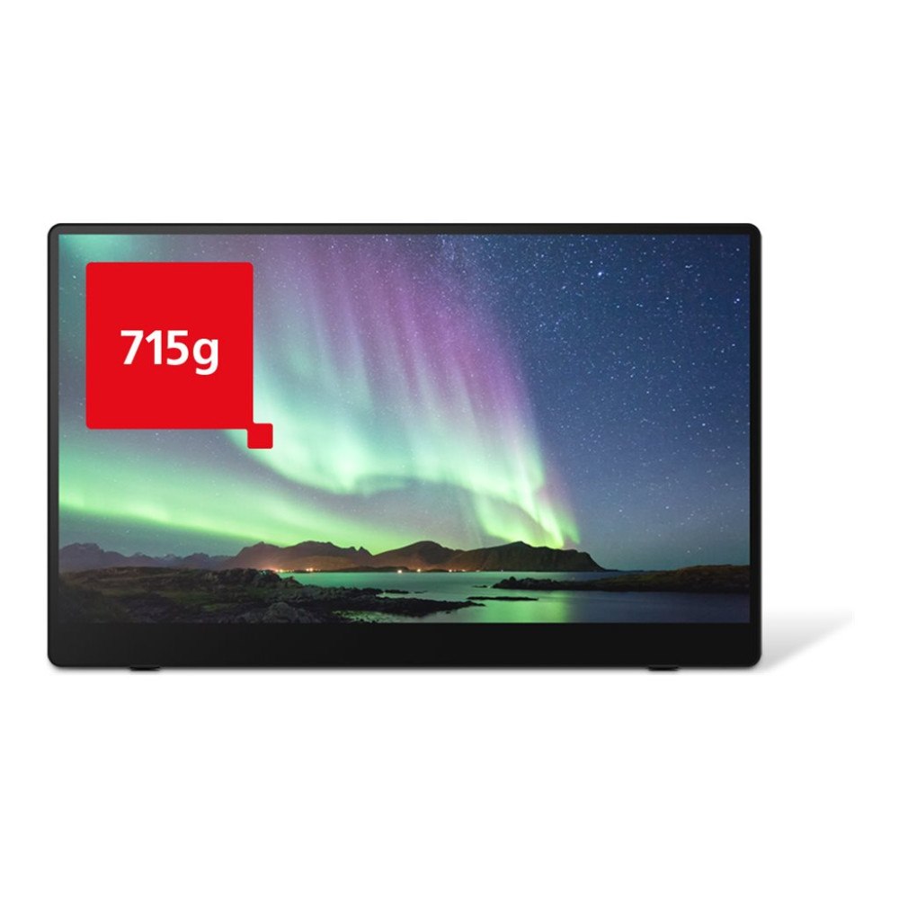 RICOH Ricoh 150BW - OLED-monitor - Full HD (1080p) - 15.6"