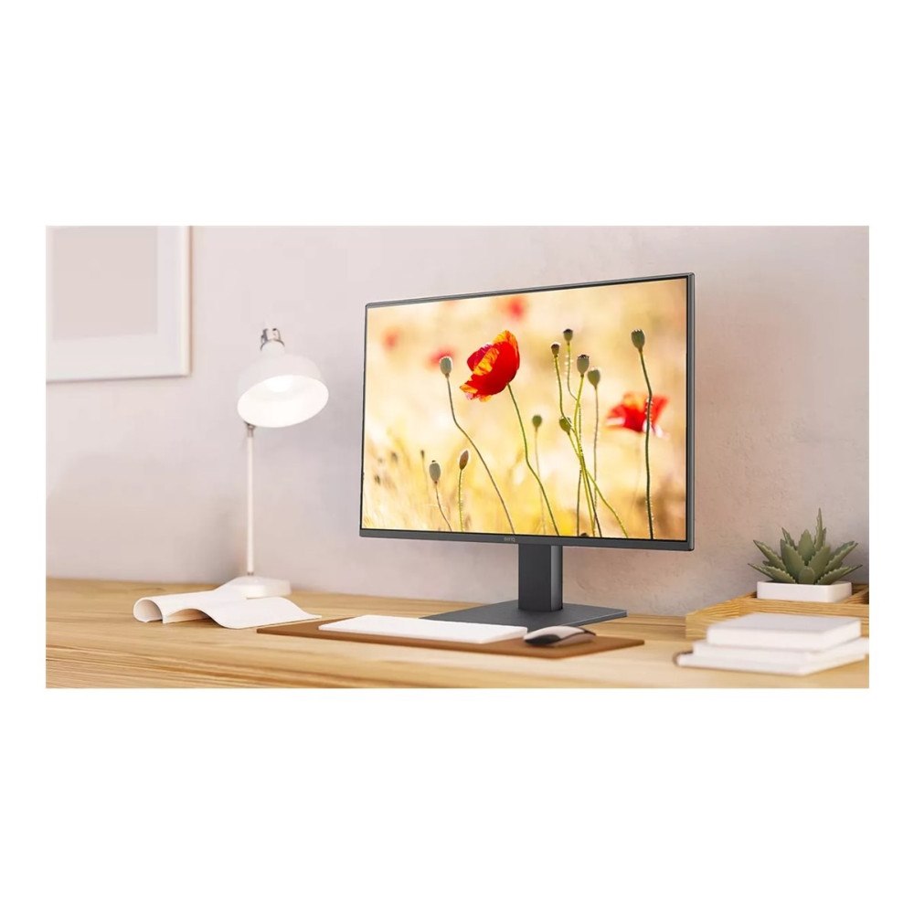 BENQ BenQ GW2491