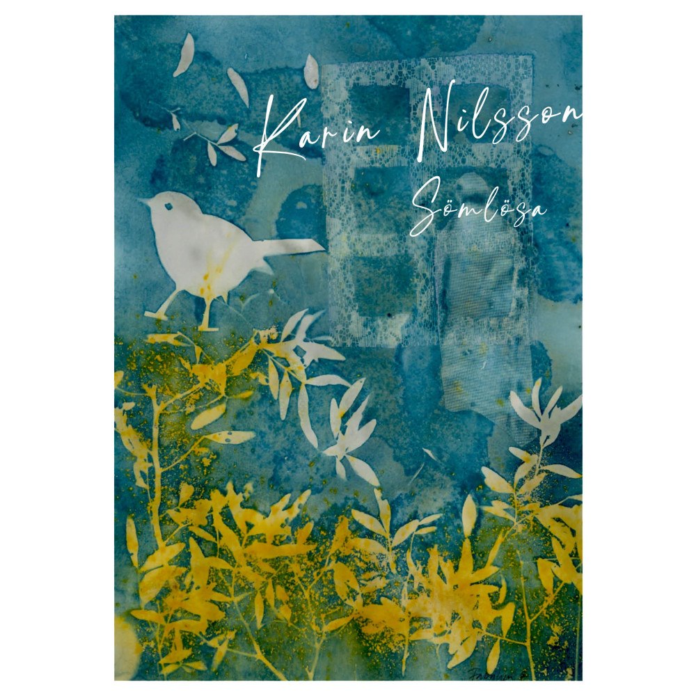 Karin Nilsson Sömlösa (bok, danskt band)