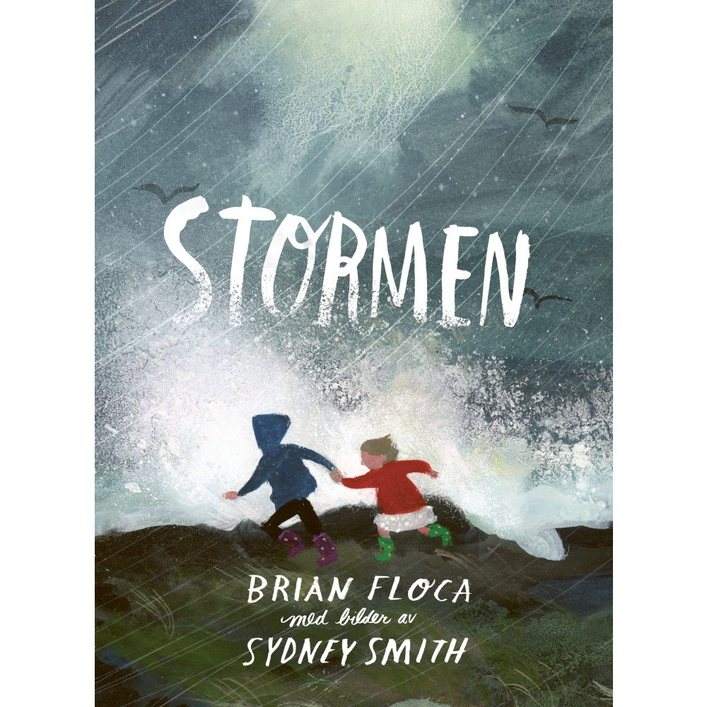 Brian Floca Stormen (inbunden)