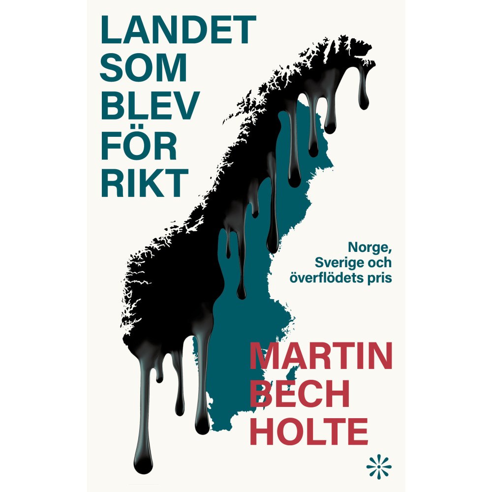 Martin Bech Holte Landet som blev för rikt (inbunden)