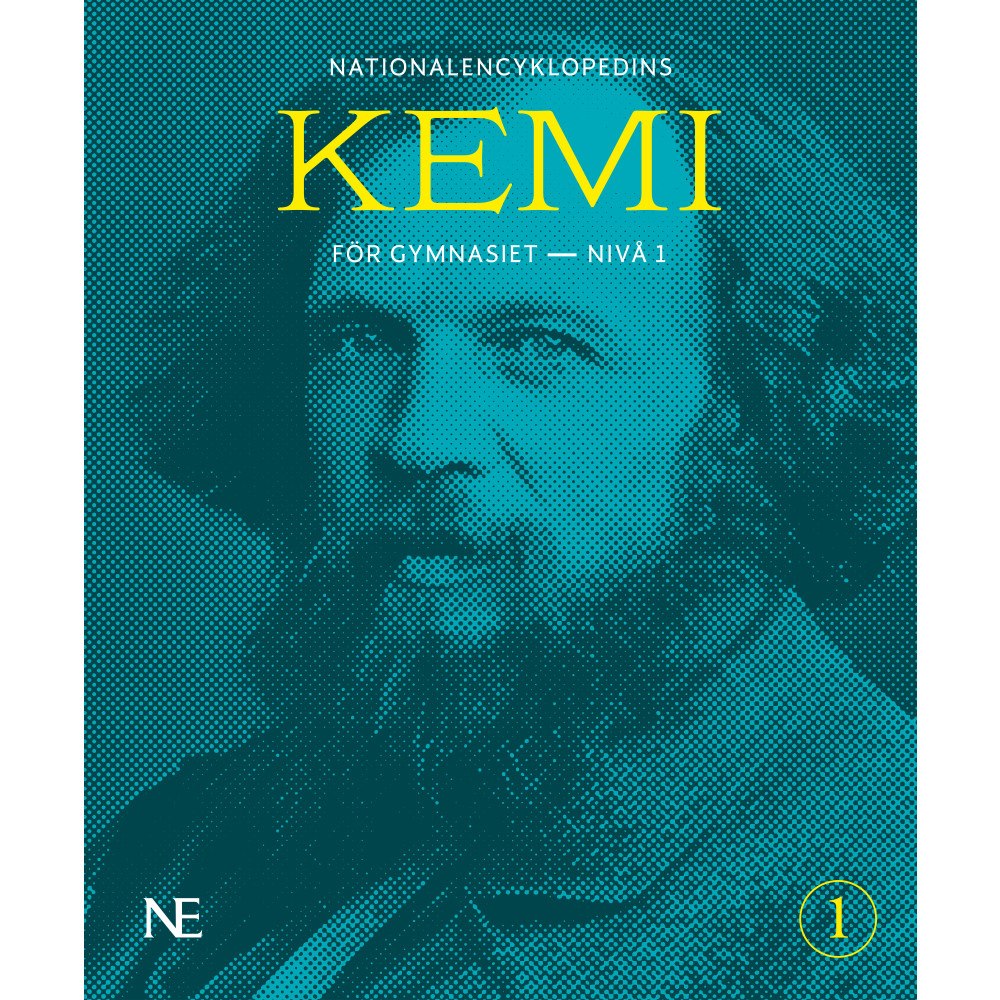 Magnus Ehinger NE kemi för gymnasiet - nivå 1 (bok, flexband)