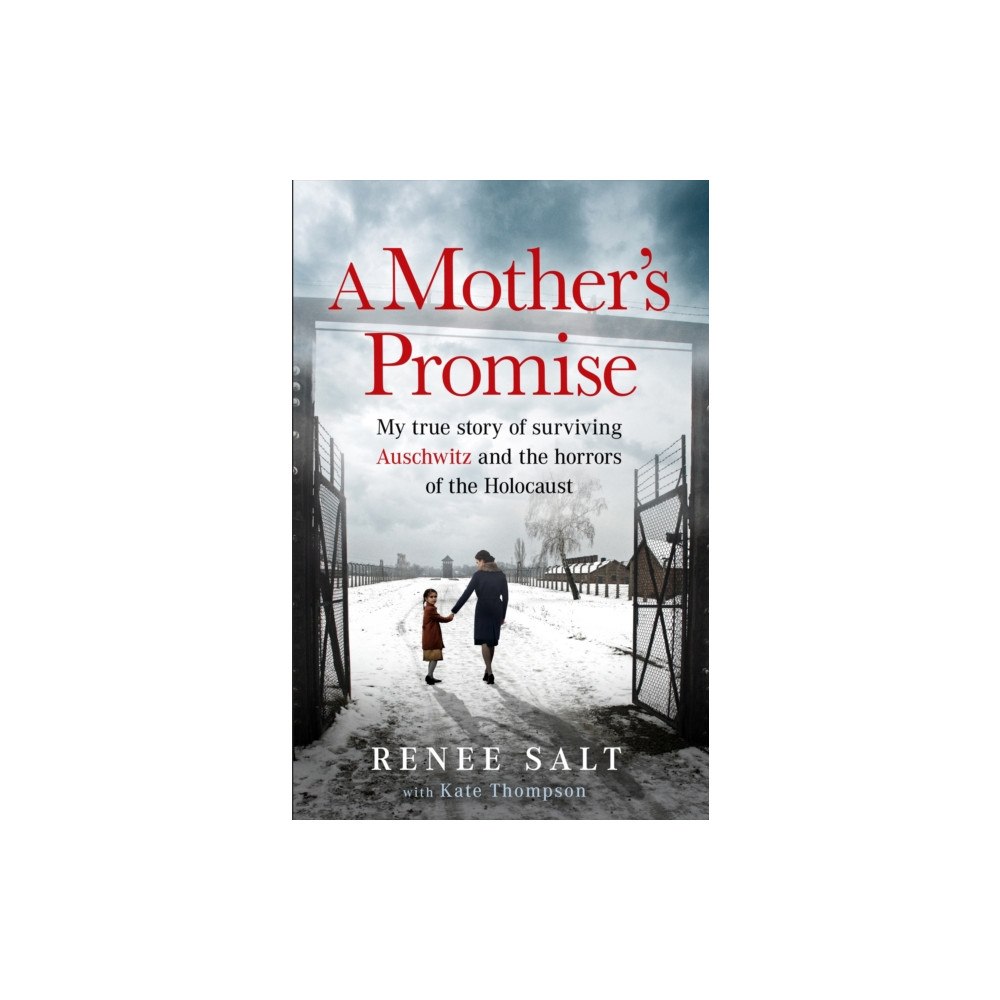 Orion Publishing Co A Mother's Promise (häftad, eng)