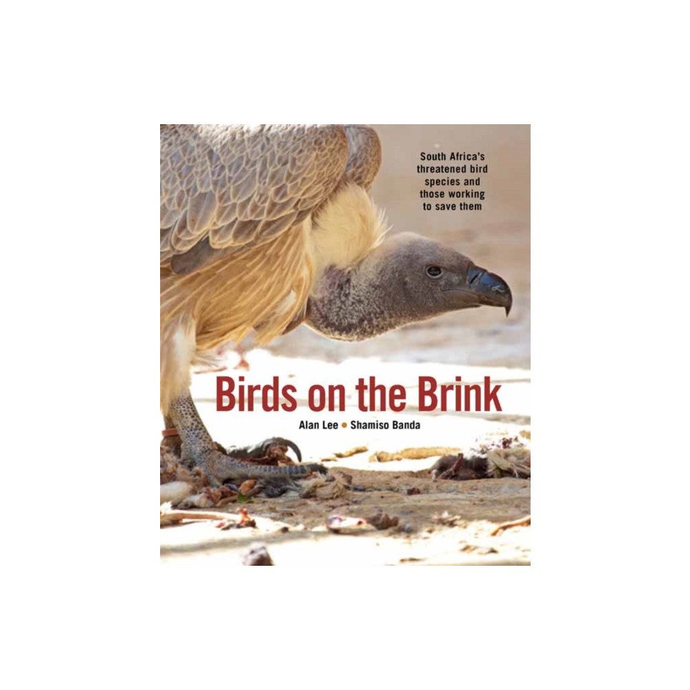 Penguin Random House South Africa Birds on the Brink (häftad, eng)