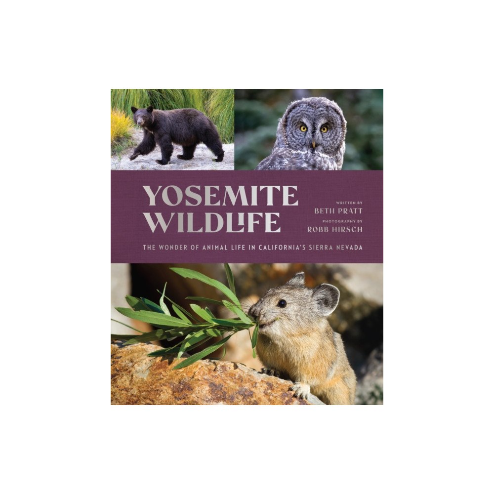 Yosemite Conservancy Yosemite Wildlife (inbunden, eng)