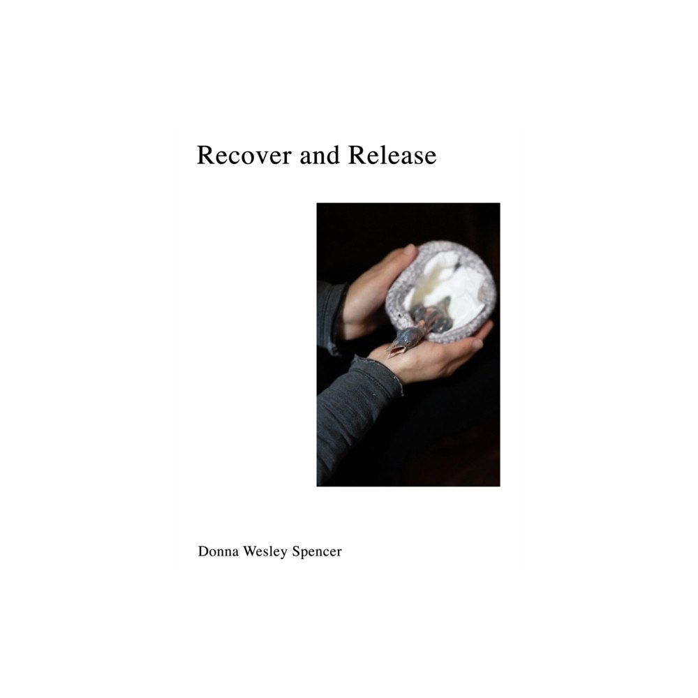 Daylight Books Recover and Release (inbunden, eng)