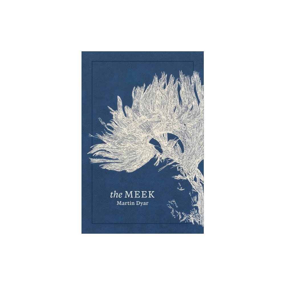 Wake Forest University Press Meek (häftad, eng)