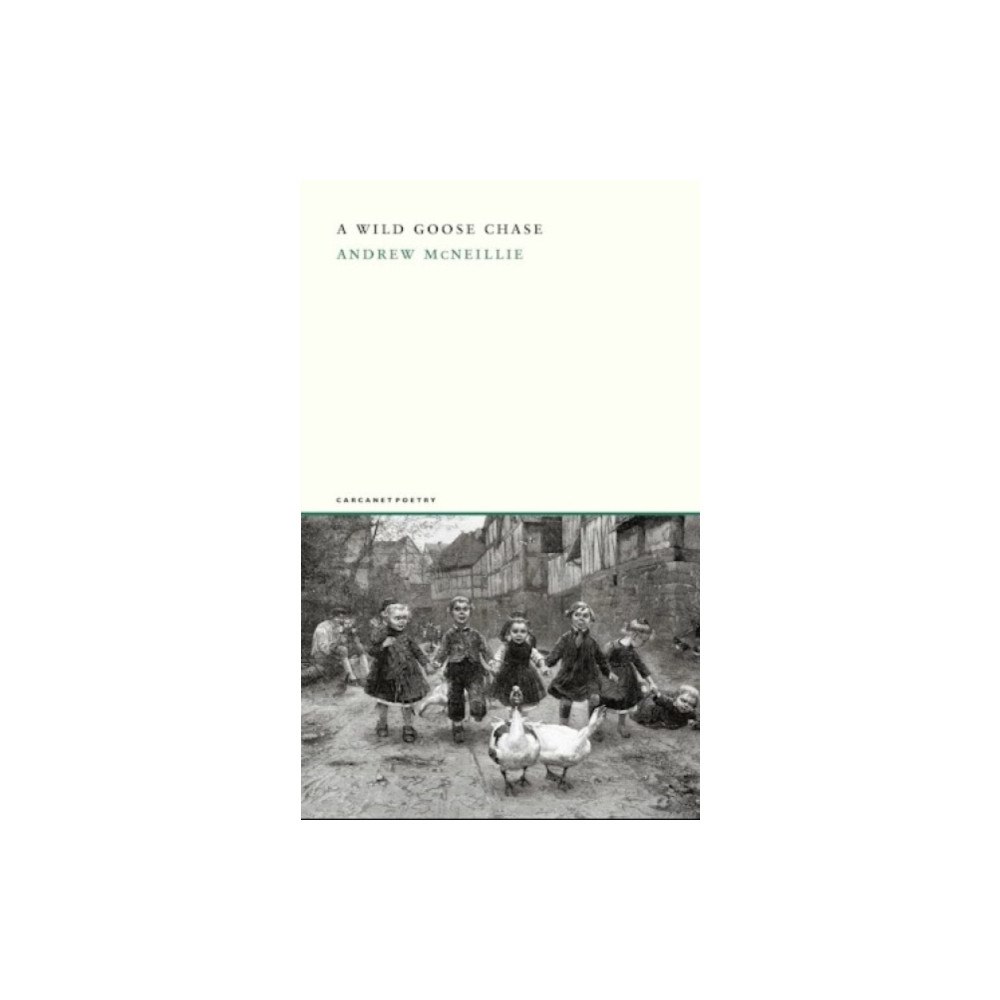 Carcanet Press Ltd A Wild Goose Chase (häftad, eng)