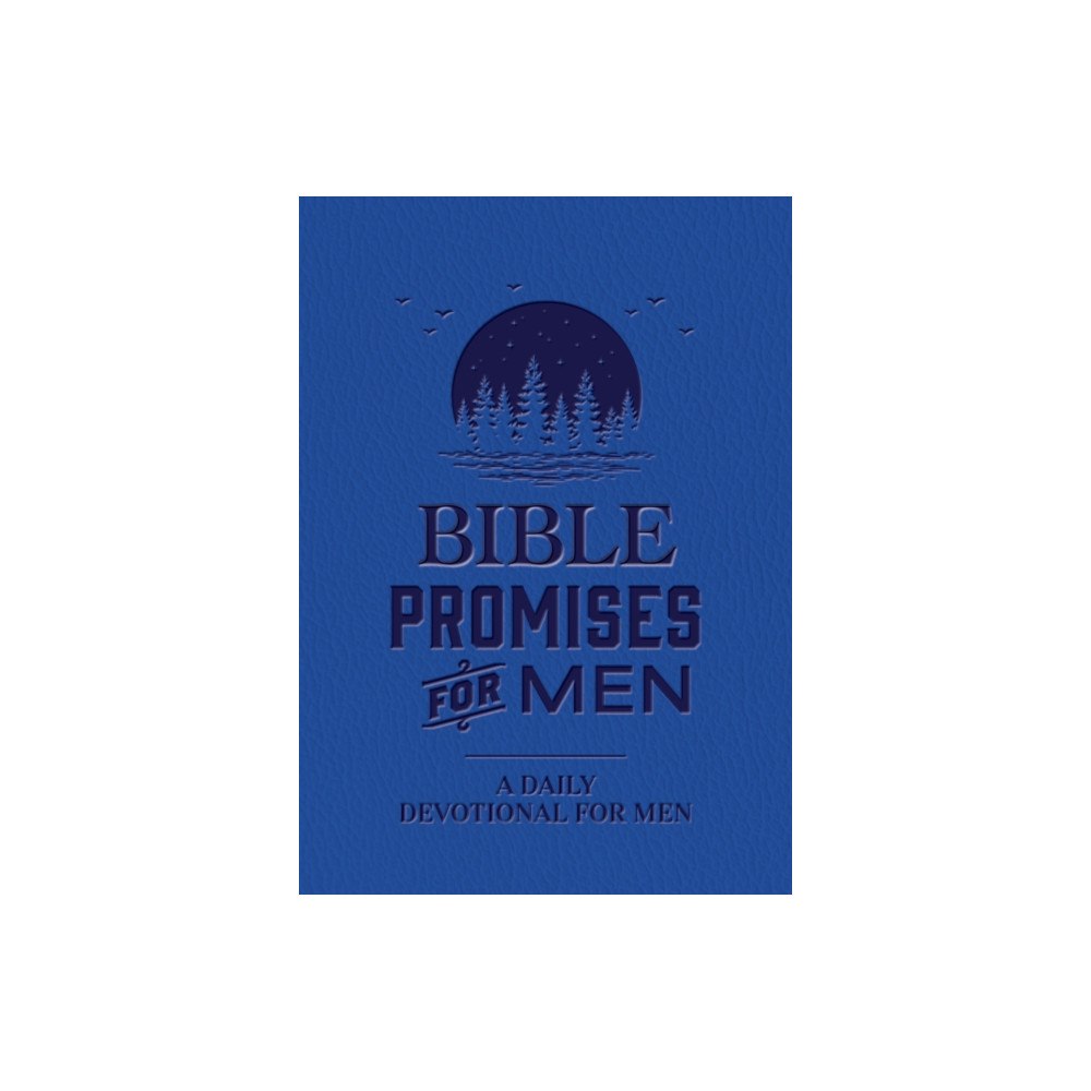 Quarto Publishing Group USA Inc Bible Promises for Men (inbunden, eng)