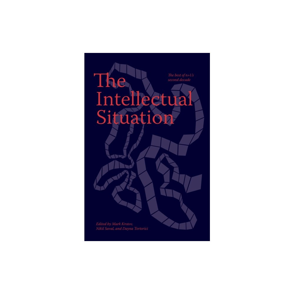 n+1 Research The Intellectual Situation: The Best of n+1’s Second Decade (häftad, eng)