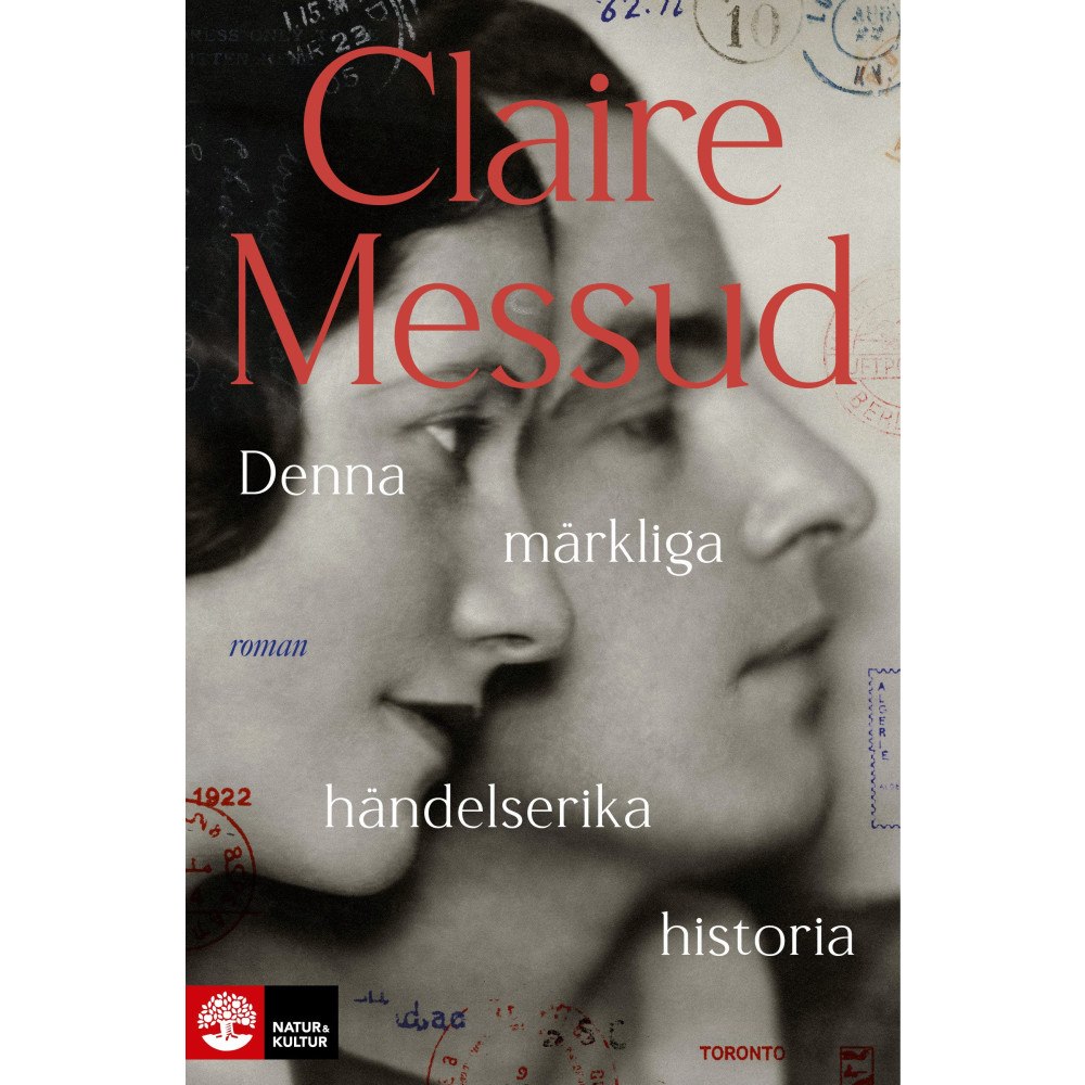 Claire Messud Denna märkliga händelserika historia (inbunden)
