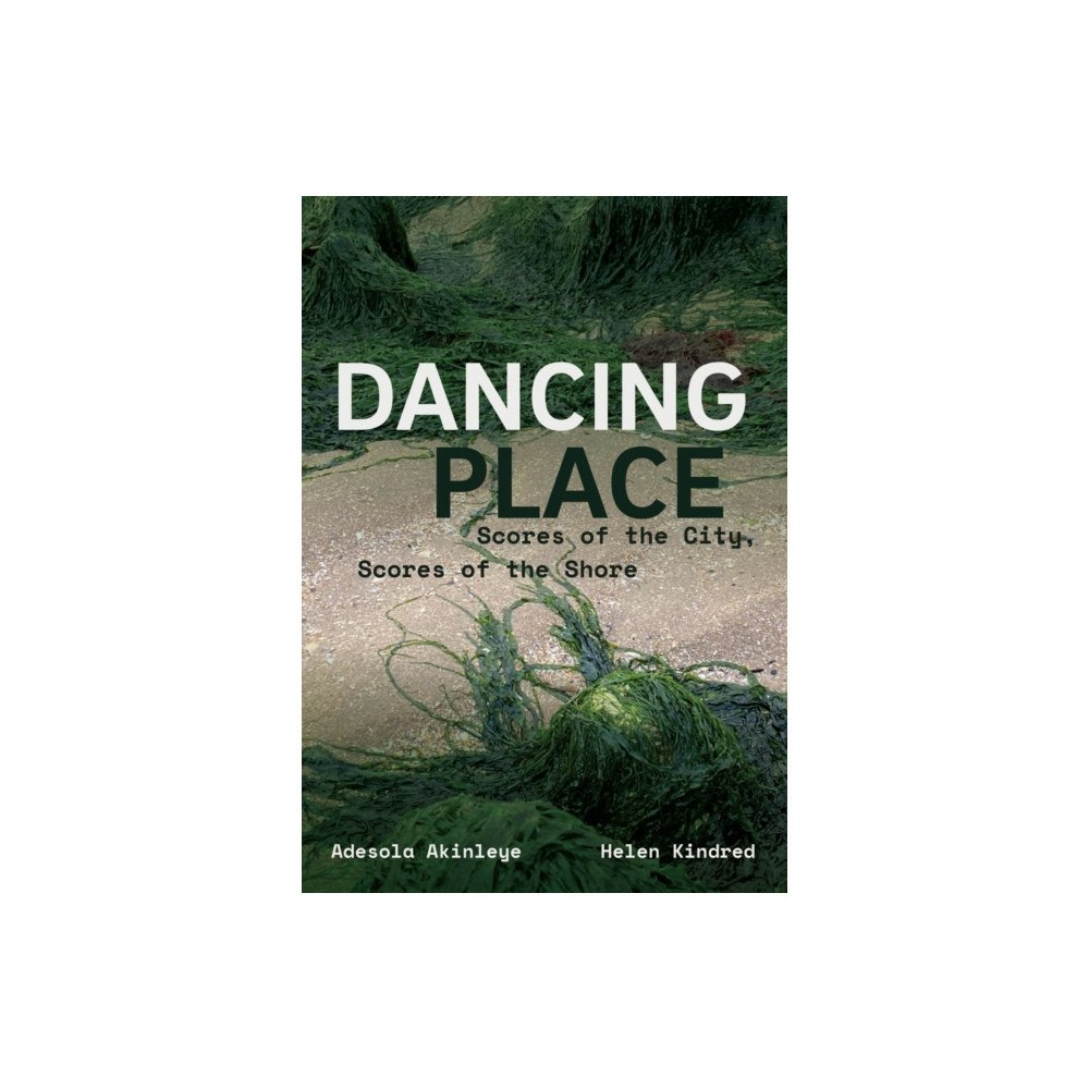 Intellect Dancing Place (häftad, eng)