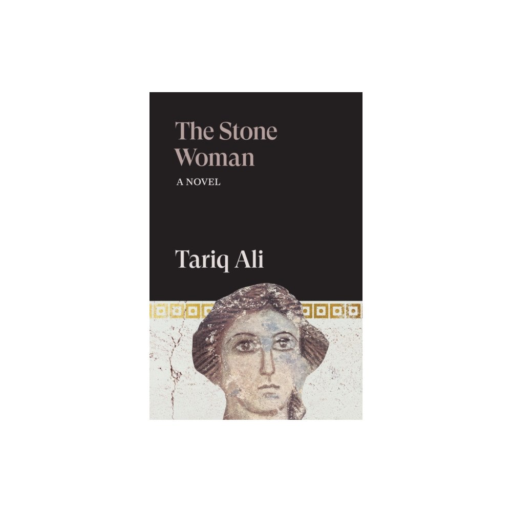Verso Books The Stone Woman (häftad, eng)