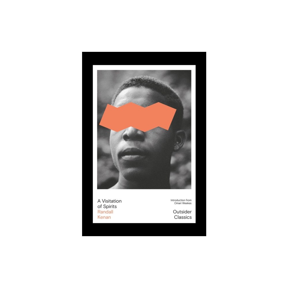 Dead Ink Books A Visitation of Spirits (häftad, eng)