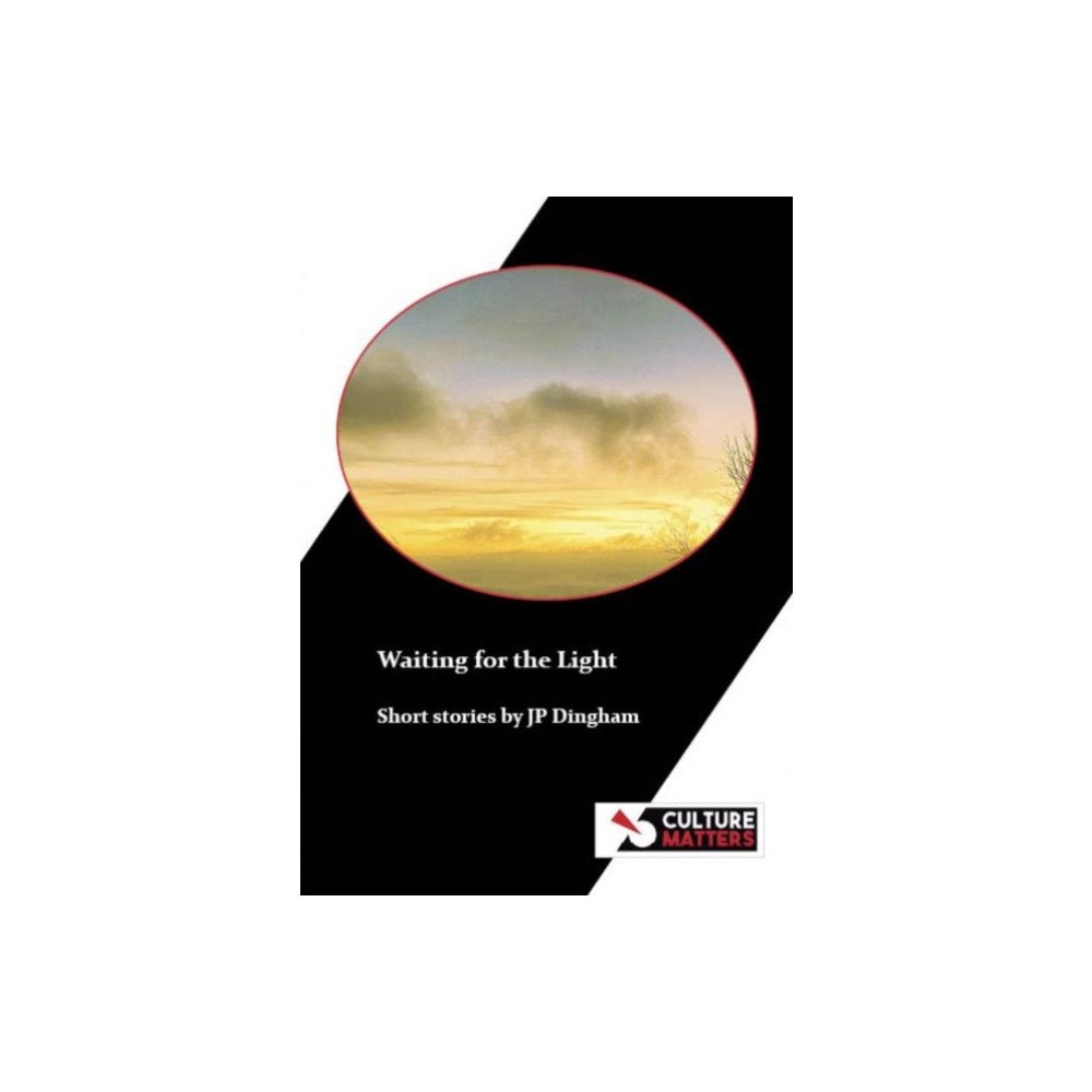 Culture Matters Co-operative Ltd Waiting for the light (häftad, eng)