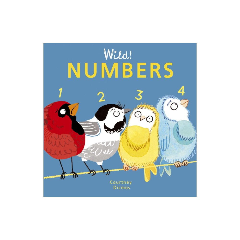 Child's Play International Ltd Numbers (bok, board book, eng)