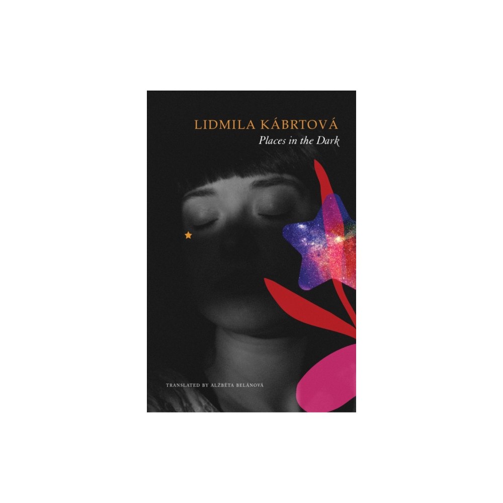 Seagull Books London Ltd Places in the Dark (inbunden, eng)