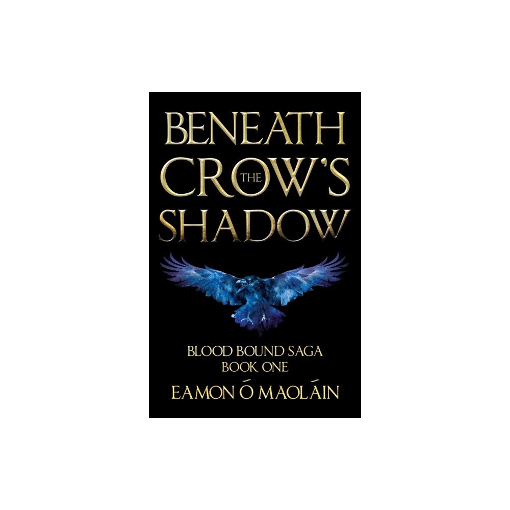 Troubador Publishing Beneath the Crow’s Shadow (häftad, eng)