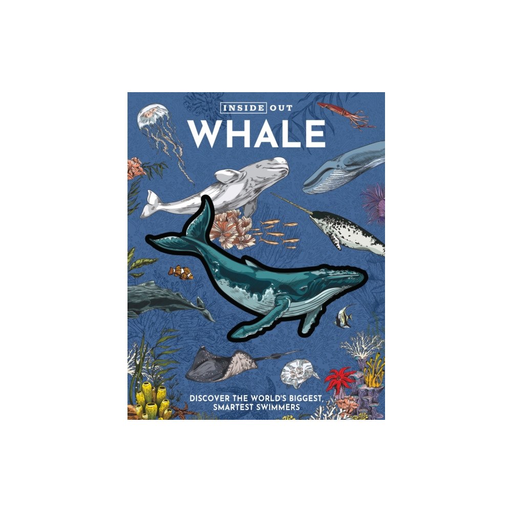Quarto Publishing Group USA Inc Inside Out Whale (bok, board book, eng)