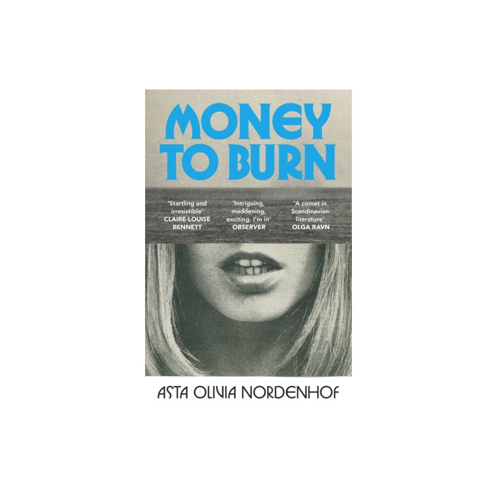 Vintage Publishing Money to Burn (häftad, eng)